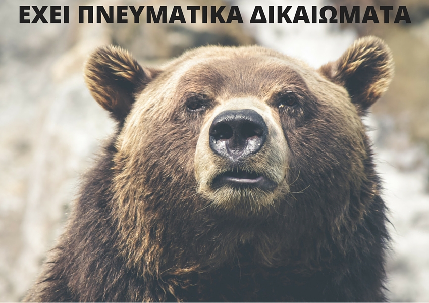 πνευματικά δικαιώματα φωτογραφιών στο eshop